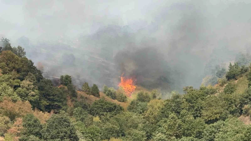 Düzce’de yangının çıkış nedeni araştırılıyor
