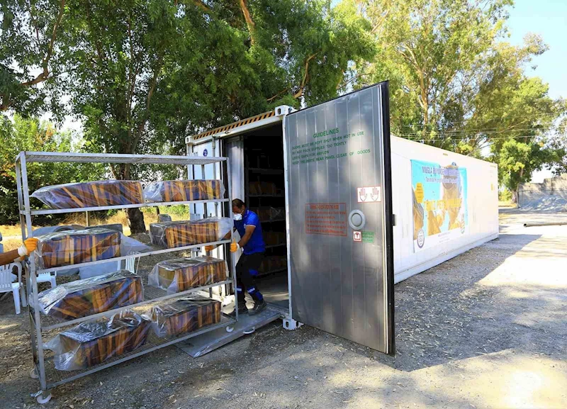 ‘Temiz Petek’ projesi başladı
