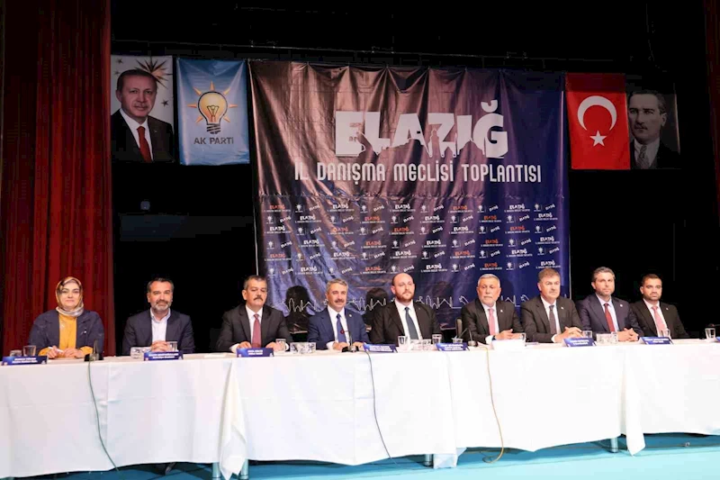 AK Parti Genel Başkan Yardımcısı Büyükgümüş: 