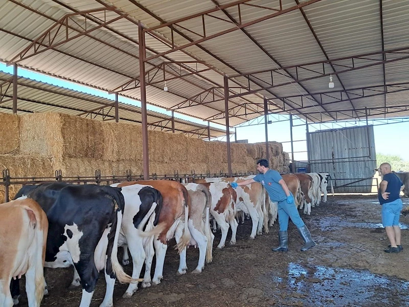 Nazilli’de 14 mahalle karantinaya alındı
