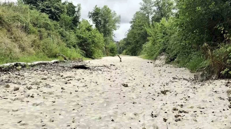Doğaseverlerin kuruyan gözdesi suya tekrar kavuştu
