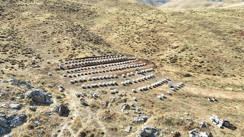 Nurhak’ın Tahtalı Yaylası’nda bal sağımı
