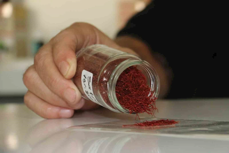 Kilosu 250 bin liradan satılan safranın mısır püskülünden sahtesini yaptılar
