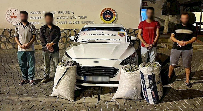 Gaziantep’te hırsızlık şüphelisi 24 şahıs yakalandı
