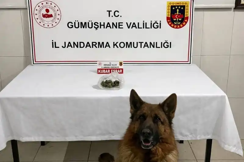 Gümüşhane'de uyuşturucu operasyonu: 15 gram esrar ele geçirildi
