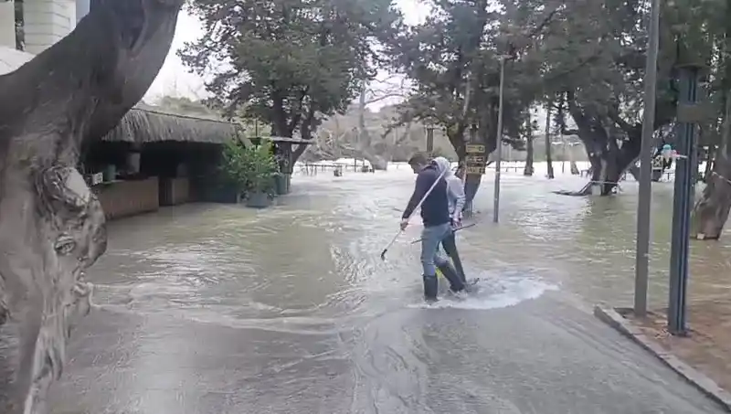 Manavgat Irmağı'nda su seviyesi yükseldi, işletmeler su altında kaldı