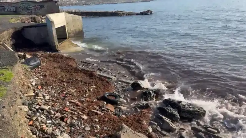 Fırtına Tekirdağ kıyılarını kızıl yosunla kapladı