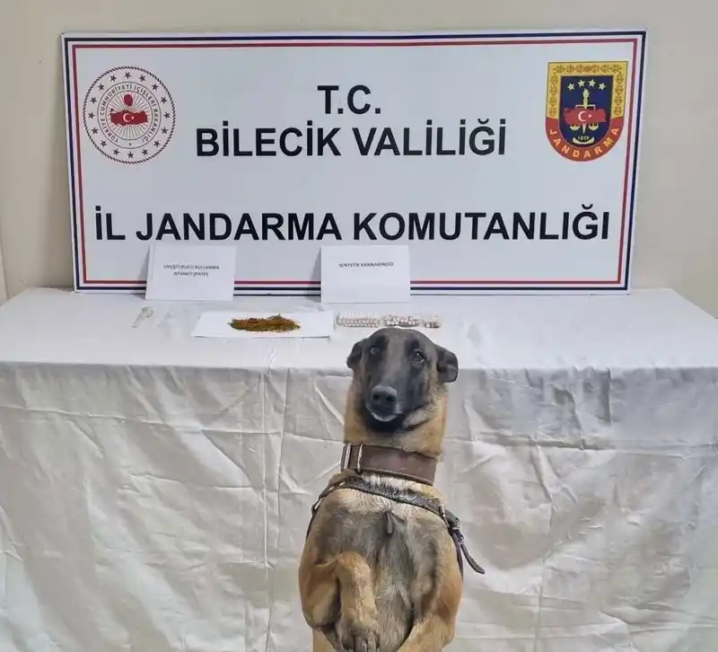 Bilecik'te uyuşturucu operasyonu: 1 kişi gözaltında