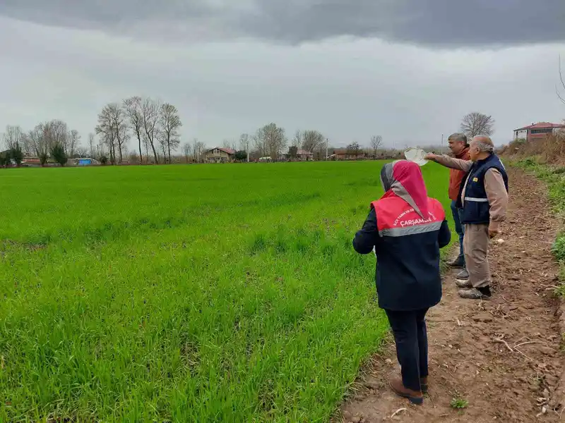 Çarşamba'da fenolojik gözlemler ve tohum desteği çalışmaları