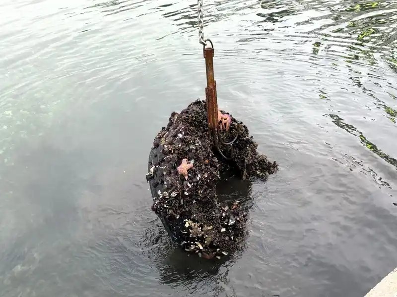 Kocaeli'de deniz dibinden 50 araç lastiği çıkarıldı