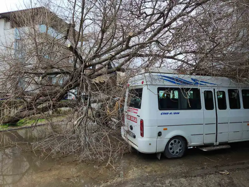 Çine'de sağanak sonrası dut ağacı minibüsü ezdi