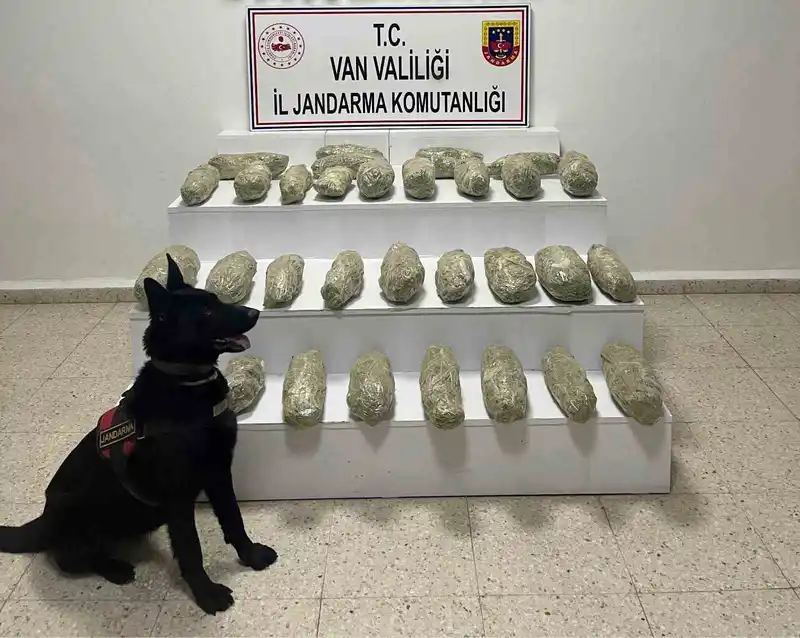 Başkale'de 21 kilo 350 gram skunk ele geçirildi