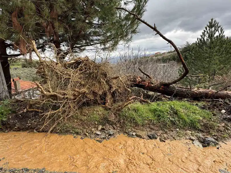 Karacasu'da aşırı yağış toprak kaymasına neden oldu