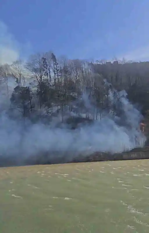 Trabzon'da iki ilçede orman yangını: Evler zarar gördü