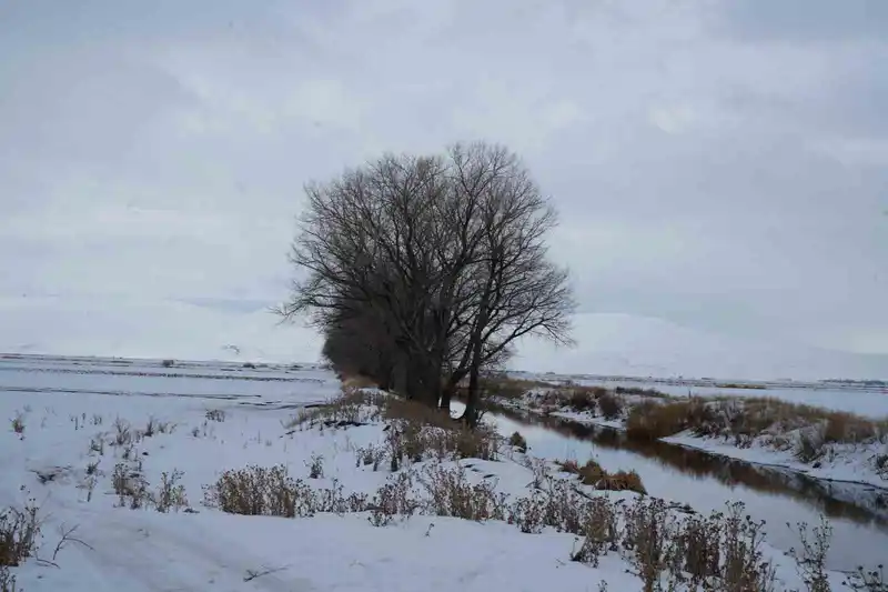 Erzurum, Erzincan ve Bayburt'a kuvvetli fırtına uyarısı