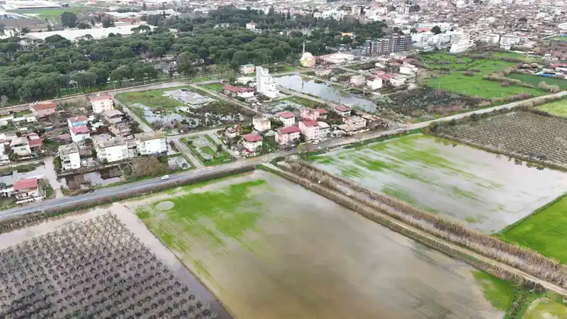 Nazilli'de sağanak mahalleyi göle çevirdi, hayvanlar telef oldu