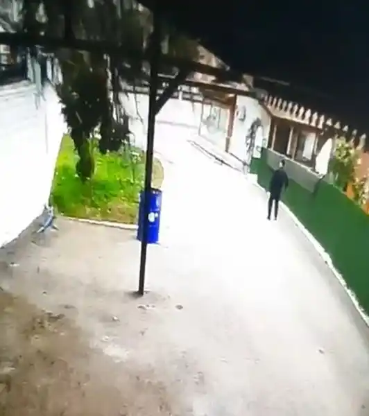 Tokat'ta fırtınada devrilen ağaç kamerada