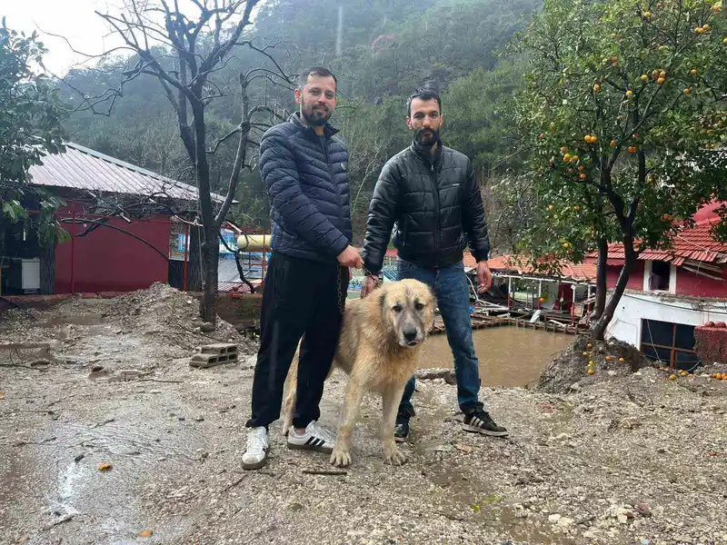 Dim Çayı'nda sel sularına kapılan köpek Paşa, sahibi ve arkadaşı tarafından kapı ve battaniyeyle kurtarıldı