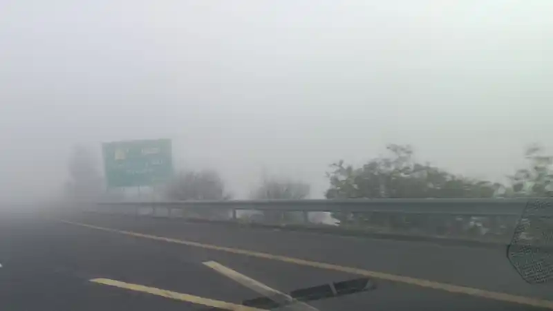 Şanlıurfa-Gaziantep yolunda yoğun sis: Görüş 10 metreye düştü