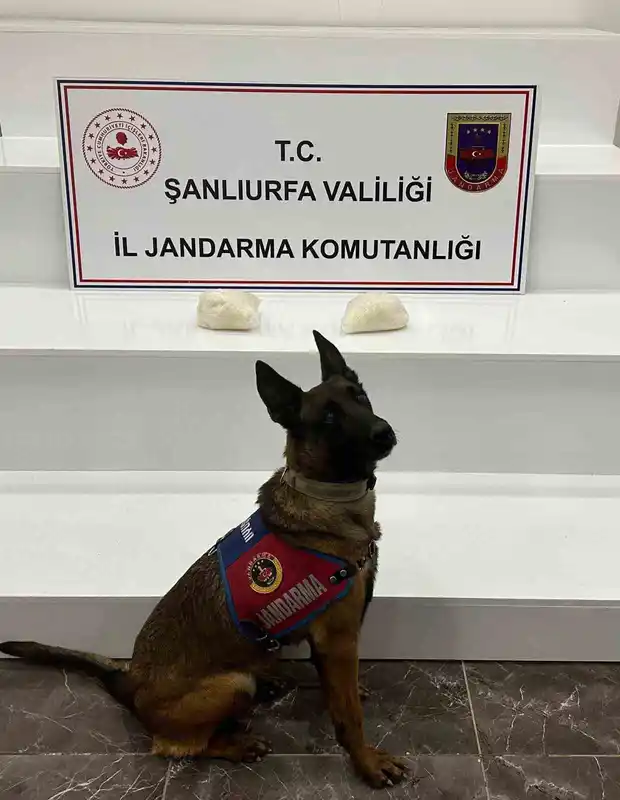 Şanlıurfa'da 2 kilo sentetik uyuşturucu ele geçirildi, 2 gözaltı