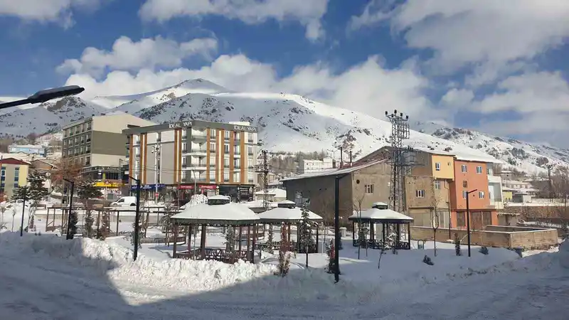 Başkale'de yoğun kar yağışı hayatı etkiledi