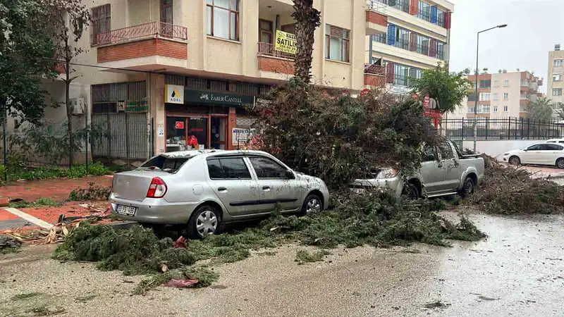 Mersin'de fırtına ve sağanak: Ağaçlar devrildi, çatılar uçtu