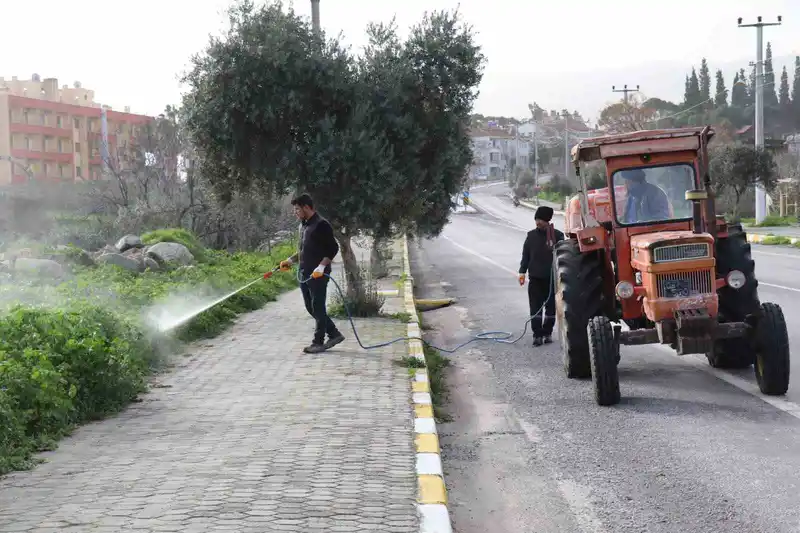 Bozdoğan'da yabani ot mücadelesi başladı