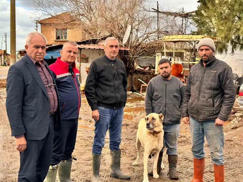 Söke'de taşkın riski: Hayvanlar güvenli bölgelere alındı