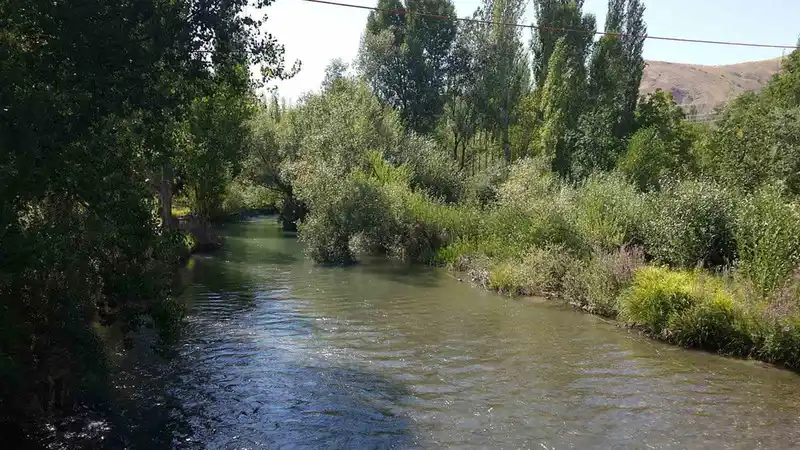 Tohma Çayı'nın ekolojik sağlığı bilimsel araştırmalarla incelendi