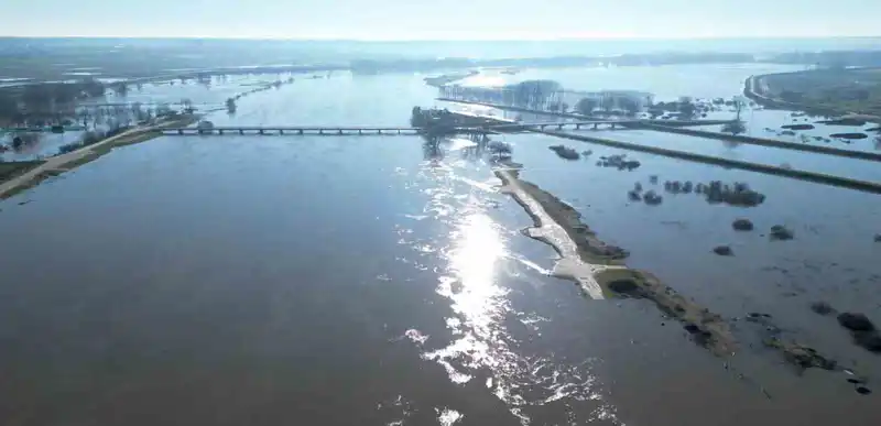 Meriç Nehri yeniden taştı, Edirne'de hobi bahçeleri sular altında