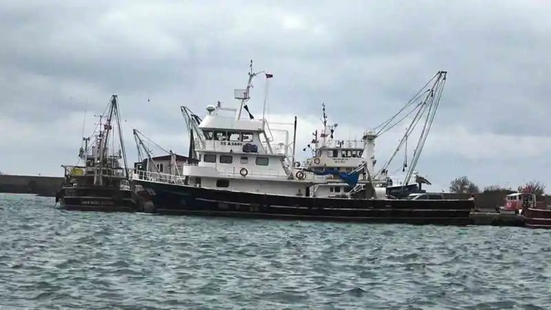 Samsun 2025'te 20 bin ton su ve hayvansal ürün ihraç etti