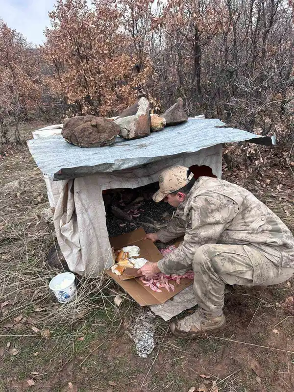 Jandarma, terk edilen 7 yavru köpeğe sahip çıktı