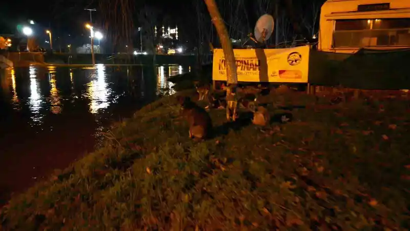 Tunca Nehri taştı: Sarayiçi sular altında, köpekler mahsur