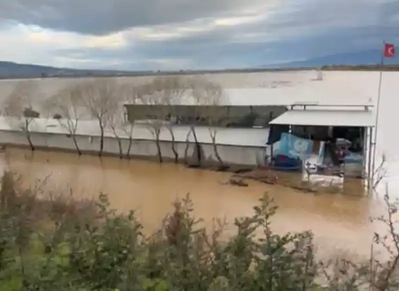 Sel sularıyla çevrili depoda mahsur kalan köpekler yürek burktu
