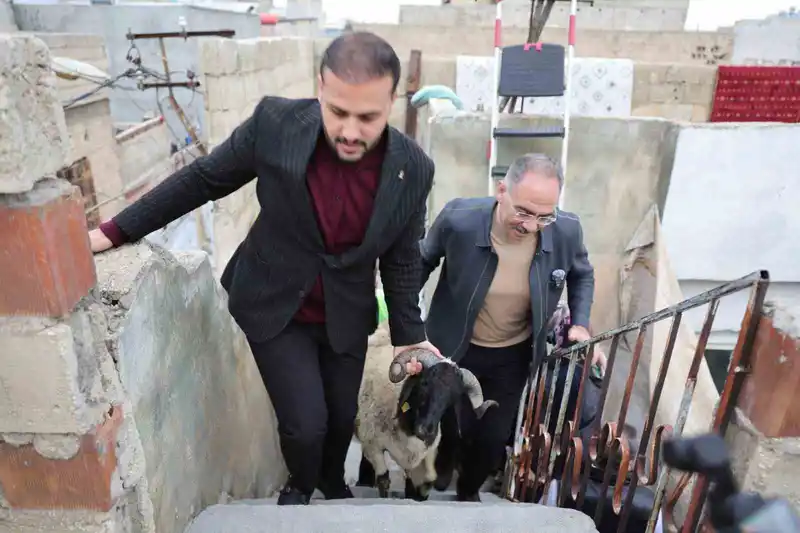 Eyyübiye’de 400 aileye koç dağıtıldı