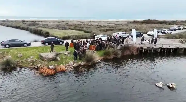 Yaralı pelikanlar tedavi sonrası doğaya salındı
