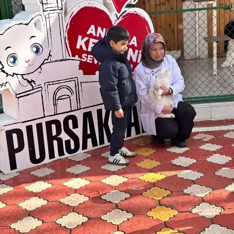 Pursaklar'da öğrenciler Ankara kedilerini ziyaret etti