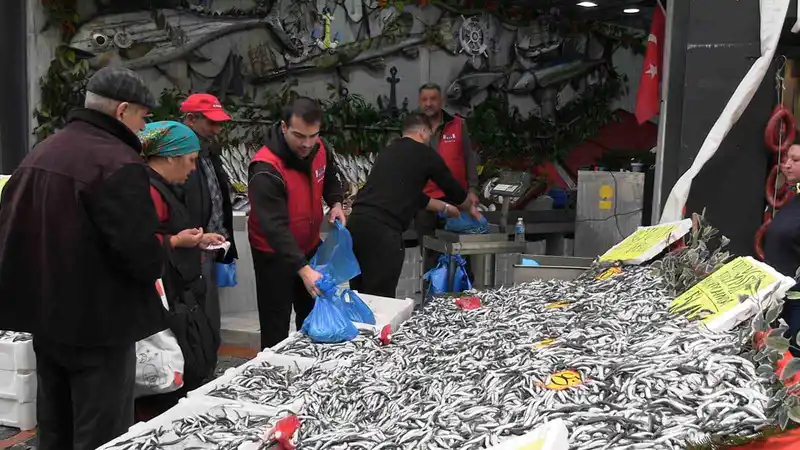 Edirne'de hamsi fiyatı 50 liraya düştü, tezgahlar doldu