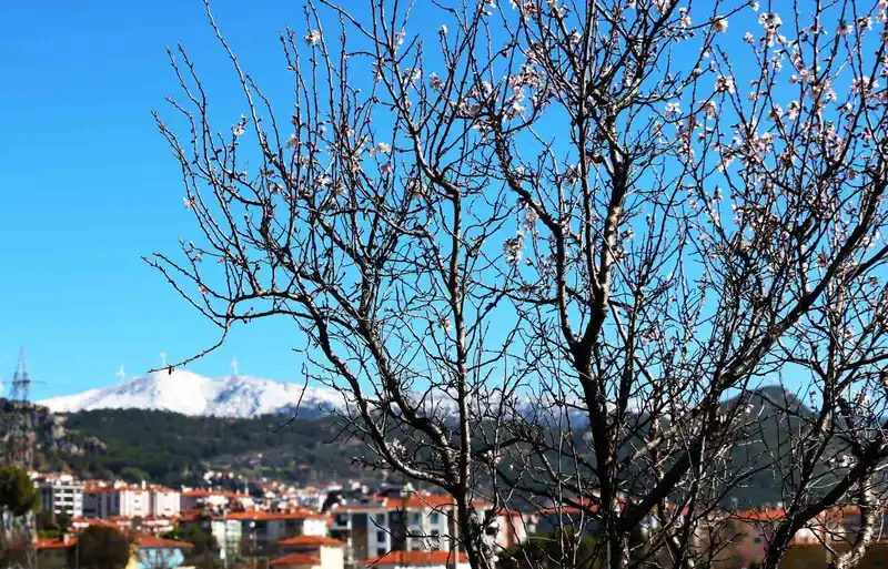 Muğla'da kış ve bahar aynı karede
