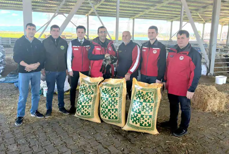 Ezine'de taşkın mağduru yetiştiricilere yem desteği