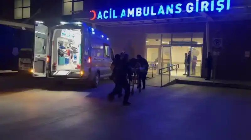 Erzincan'da köprüden atlayan kişi ağır yaralandı