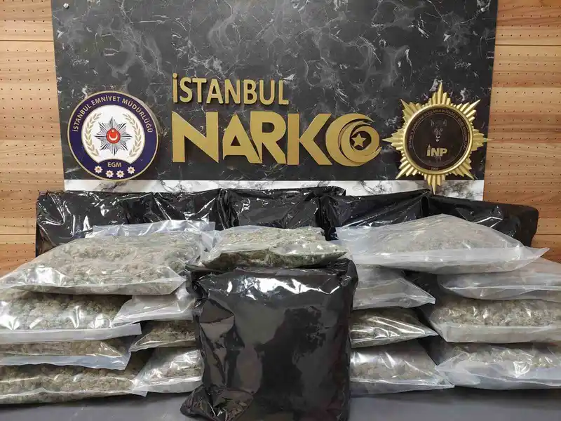 İstanbul'da 22 kilo skunk ele geçirildi, 1 şüpheli gözaltında