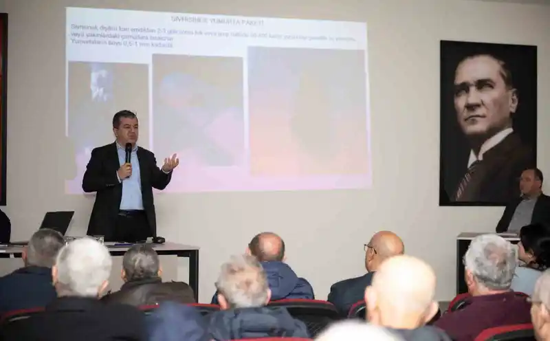 Silifke'de Haşere Mücadelesi İçin Vatandaş İş Birliği Çağrısı