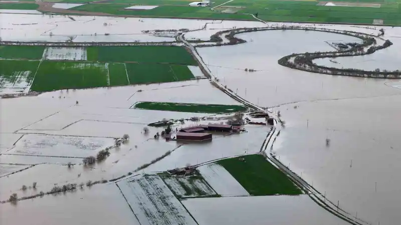 Aydın Koçarlı'da Büyük Menderes taşkını: Tarlalar sular altında