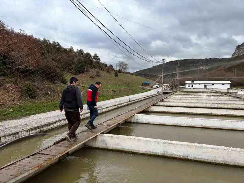 Çavdarhisar'da su ürünleri tesisleri denetlendi