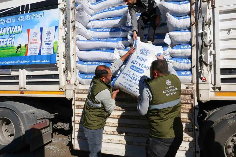 Aydın'da üreticilere yem hibesi dağıtımı sürüyor