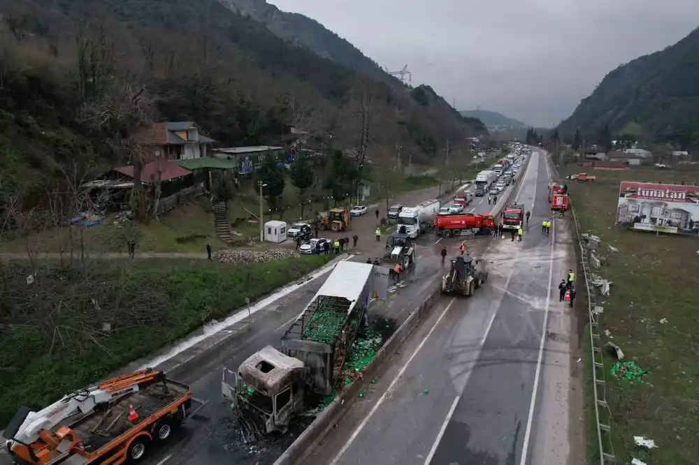 İki tır çarpıştı, D-650 savaş alanına döndü