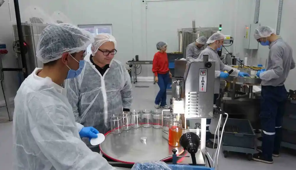 Arıcılar teknolojiyi yakından takip ediyor: Devlet desteğiyle modern tesis kurdu, 40 kişiye istihdam sağladı