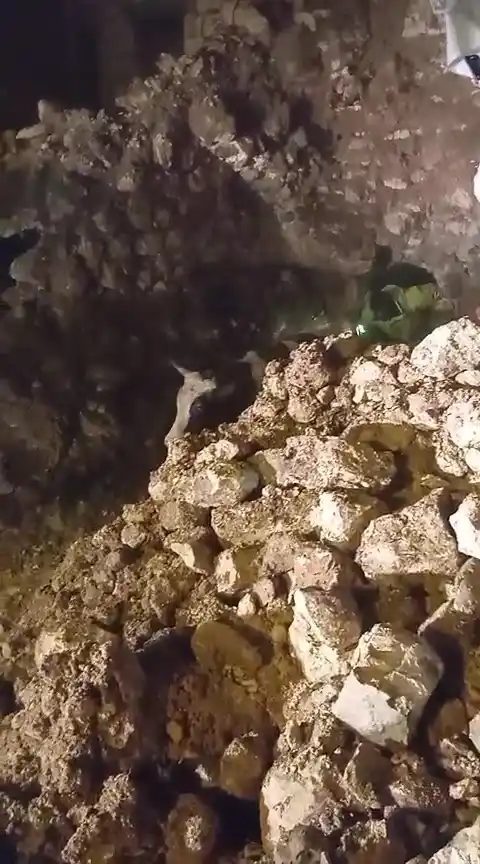 Batman’da fırtınada 2 katlı taş bina çöktü: Enkaz altında kalan 5 büyükbaş hayvan kurtarıldı