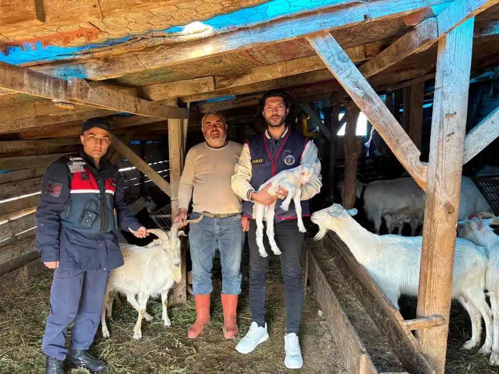 Kaybolan 50 küçükbaş hayvan dron destekli aramayla bulundu